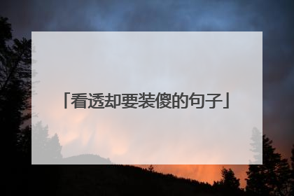 看透却要装傻的句子