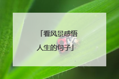 看风景感悟人生的句子