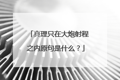 真理只在大炮射程之内原句是什么?
