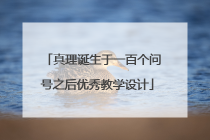 真理诞生于一百个问号之后优秀教学设计