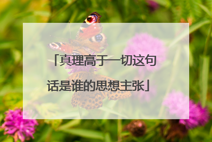 真理高于一切这句话是谁的思想主张