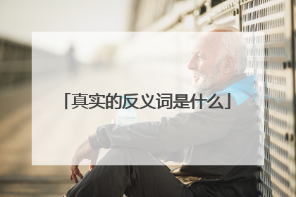 真实的反义词是什么