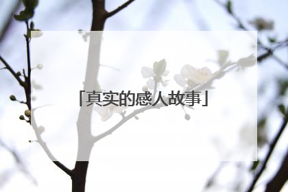 真实的感人故事