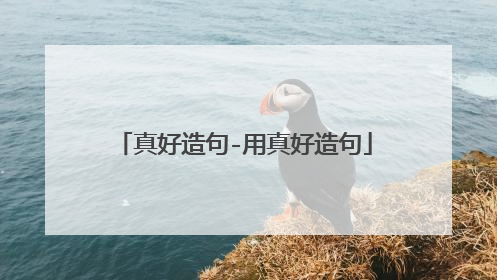 真好造句-用真好造句