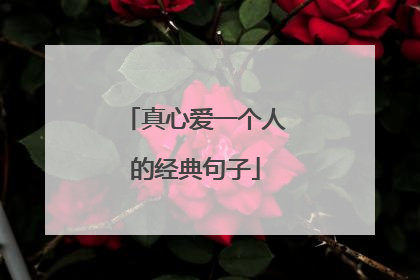 真心爱一个人的经典句子