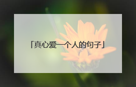 真心爱一个人的句子