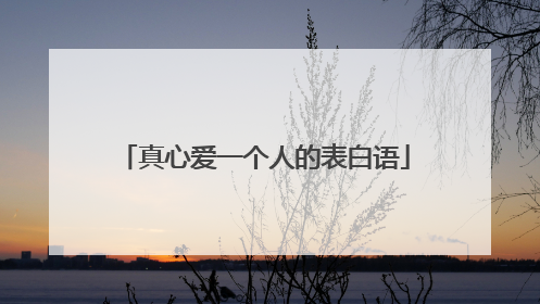 真心爱一个人的表白语