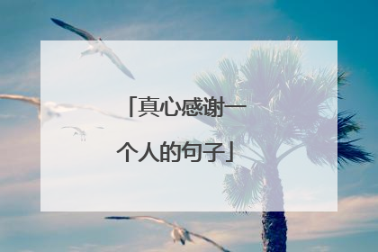 真心感谢一个人的句子
