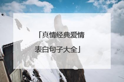 真情经典爱情表白句子大全