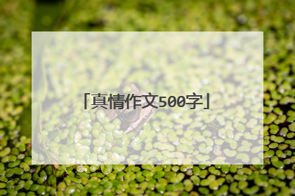 真情作文500字