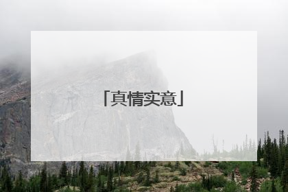 真情实意