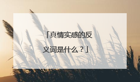 真情实感的反义词是什么？