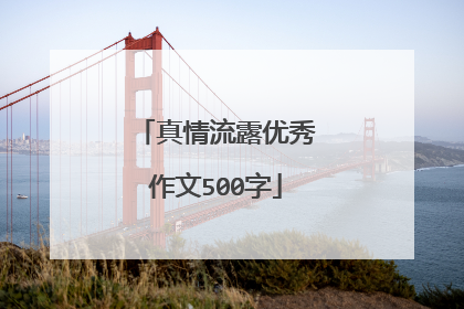 真情流露优秀作文500字