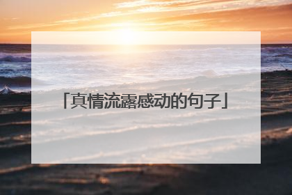 真情流露感动的句子