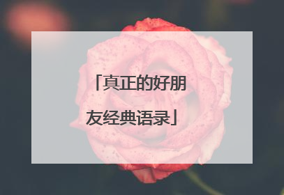 真正的好朋友经典语录