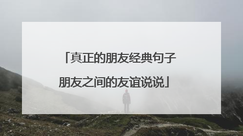 真正的朋友经典句子朋友之间的友谊说说