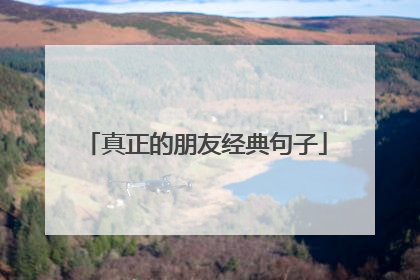 真正的朋友经典句子