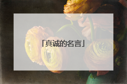 真诚的名言