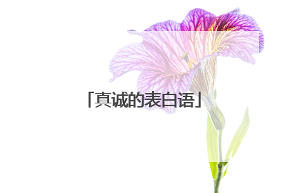 真诚的表白语