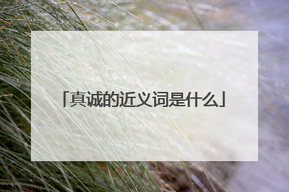 真诚的近义词是什么