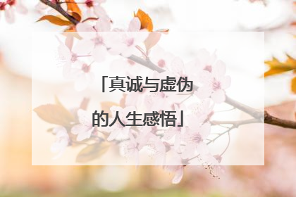 真诚与虚伪的人生感悟
