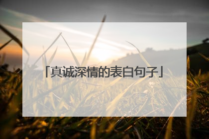 真诚深情的表白句子