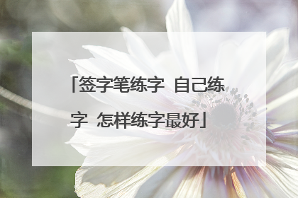 签字笔练字 自己练字 怎样练字最好