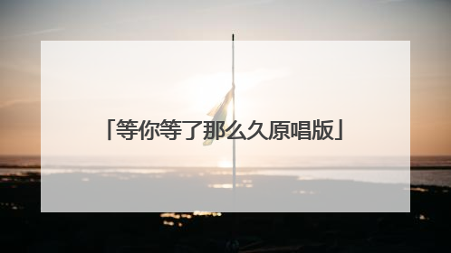 等你等了那么久原唱版