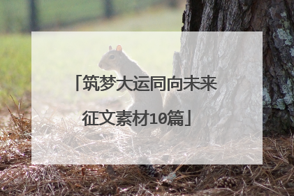 筑梦大运同向未来征文素材10篇