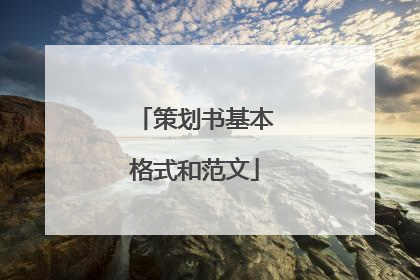 策划书基本格式和范文