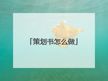 策划书怎么做