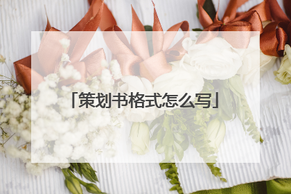 策划书格式怎么写