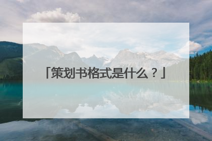 策划书格式是什么?