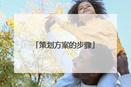 策划方案的步骤