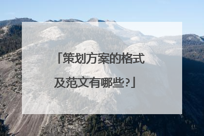 策划方案的格式及范文有哪些?