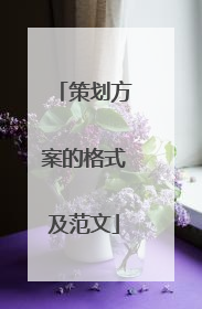 策划方案的格式及范文