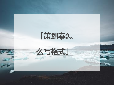 策划案怎么写格式