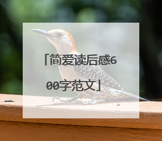 简爱读后感600字范文