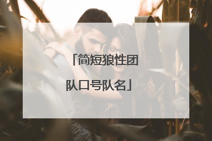 简短狼性团队口号队名