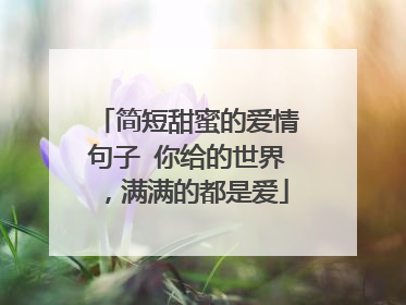 简短甜蜜的爱情句子 你给的世界,满满的都是爱
