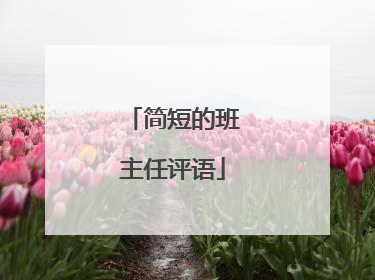 简短的班主任评语