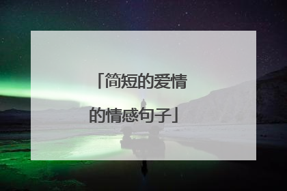 简短的爱情的情感句子