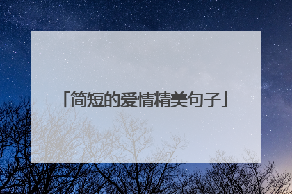 简短的爱情精美句子