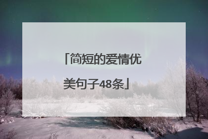 简短的爱情优美句子48条