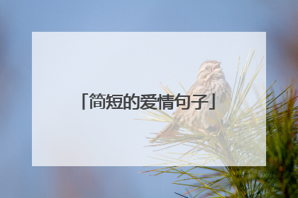 简短的爱情句子