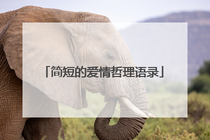 简短的爱情哲理语录