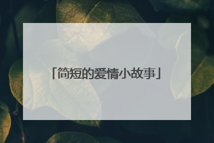 简短的爱情小故事