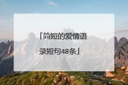 简短的爱情语录短句48条