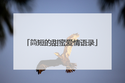 简短的甜蜜爱情语录