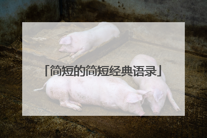 简短的简短经典语录